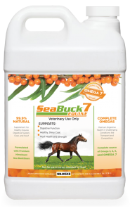 SeaBuck Equine SeaBuck Equine