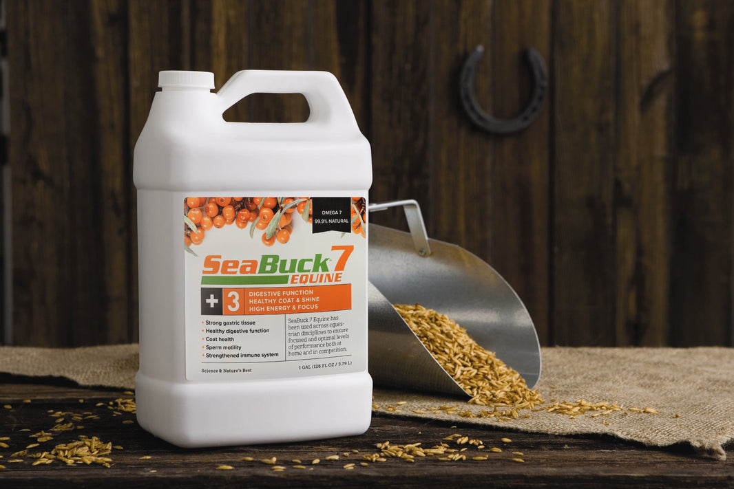 Customer Success Story: 30 Days to Improvement!